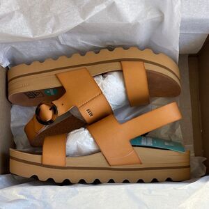 Reef Vista Hi Buckle Brown Platform leather Sandals with Buckle Womens 10 NWT!